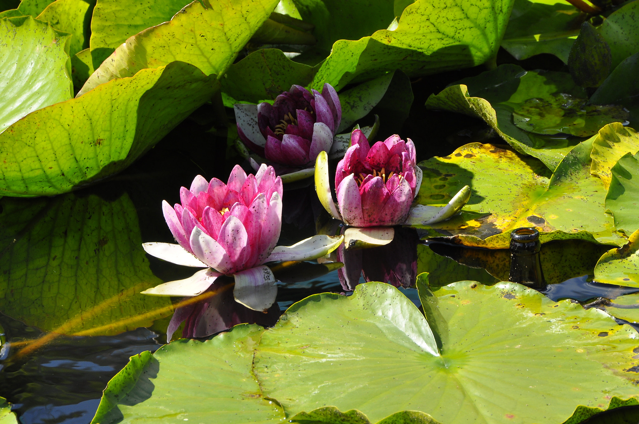 Nikon D90 sample photo. Berlin, germany. photography