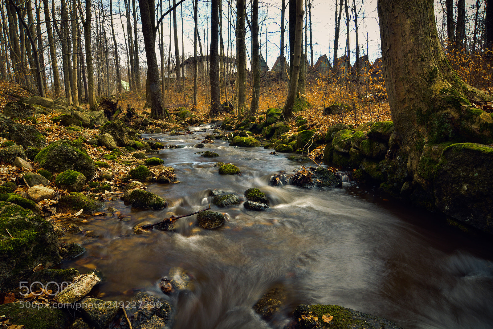 Nikon D7100 sample photo. Brook smědá photography