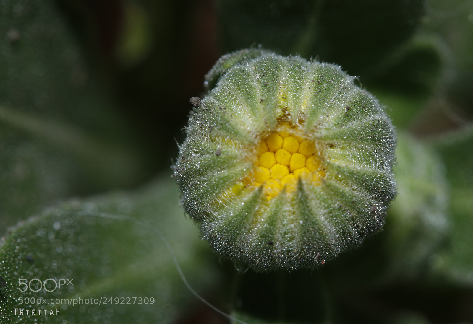 Canon EOS 7D sample photo. Opening photography