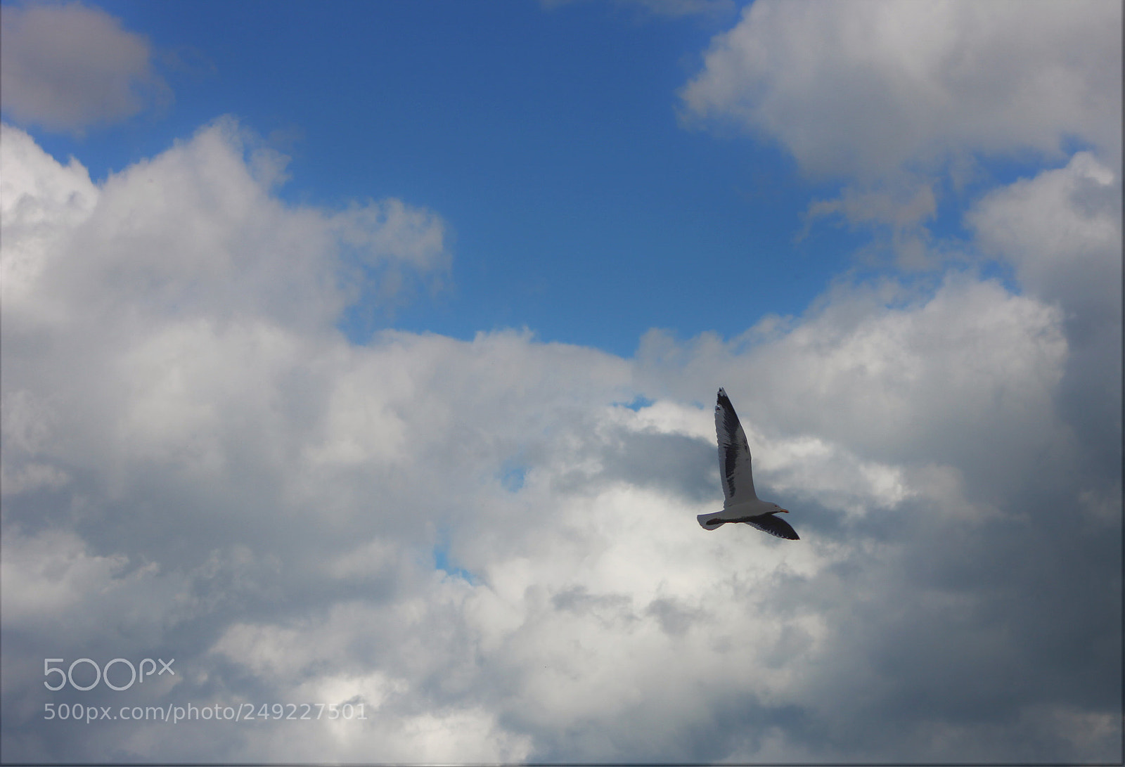 Canon EOS 60D sample photo. Retour photography