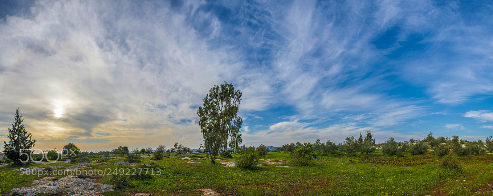 Nikon D5200 sample photo. Untitled panorama photography
