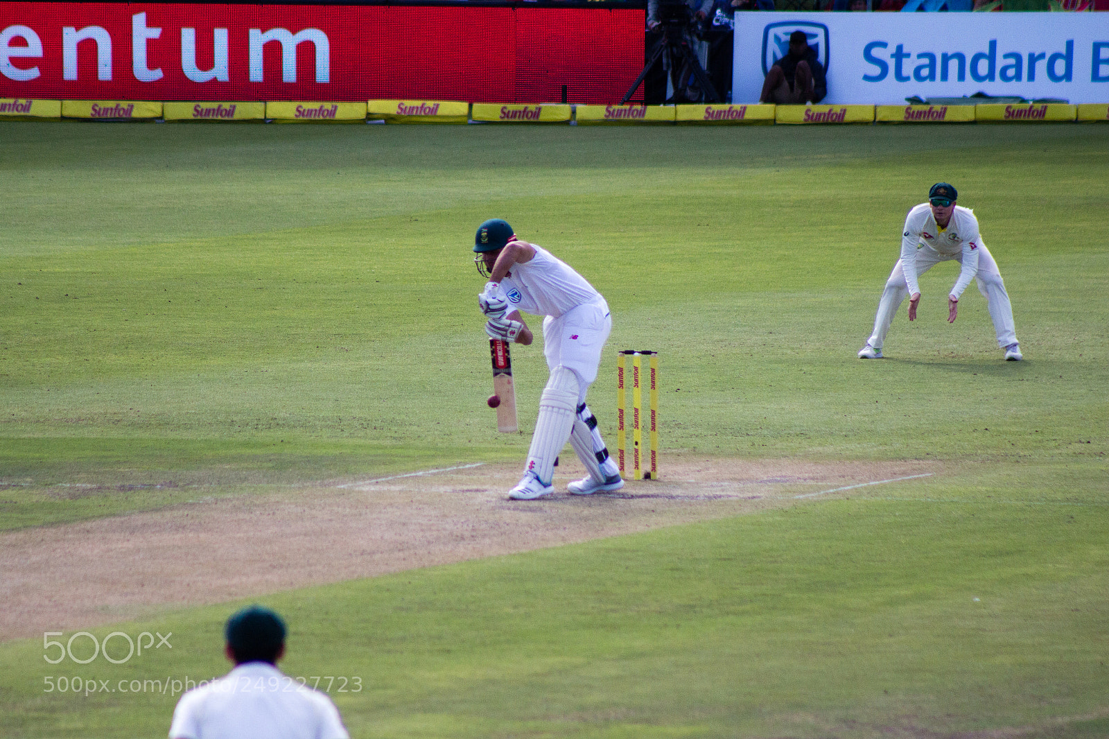 Canon EOS 700D (EOS Rebel T5i / EOS Kiss X7i) sample photo. Sa vs australia 5 photography