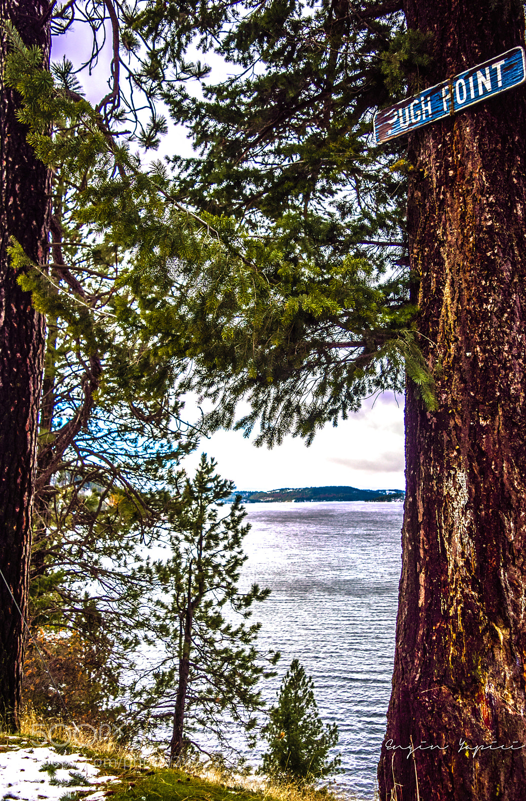 Nikon D3300 sample photo. Pugh point, id photography