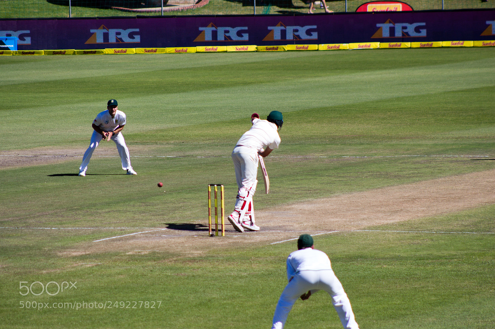 Canon EOS 700D (EOS Rebel T5i / EOS Kiss X7i) sample photo. Sa vs australia 5 photography