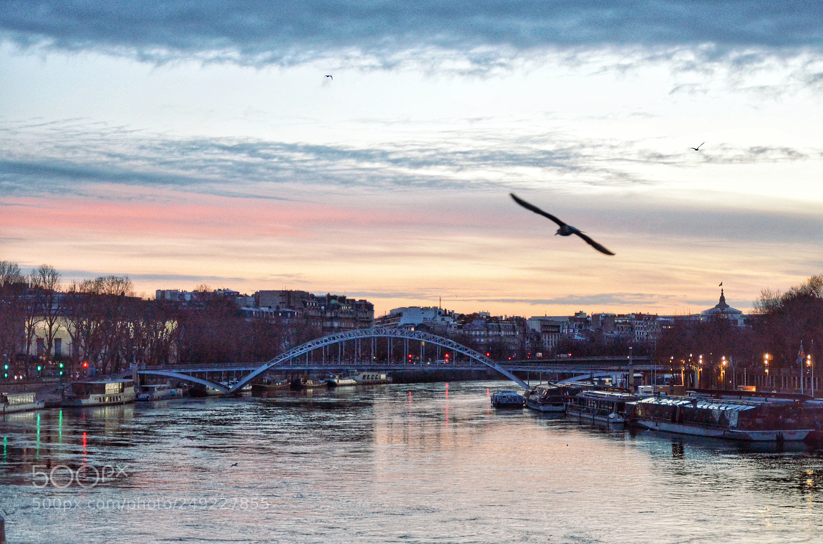 Nikon D7000 sample photo. Alone beside seine photography