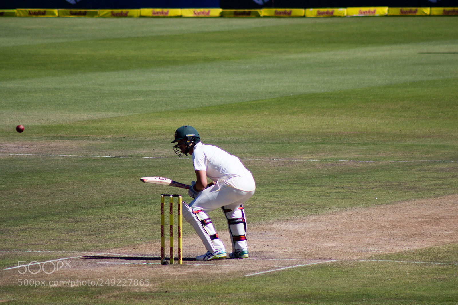Canon EOS 700D (EOS Rebel T5i / EOS Kiss X7i) sample photo. Sa vs australia 5 photography