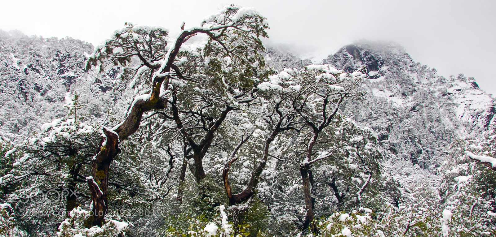 Nikon D50 sample photo. Nature´s delights... photography