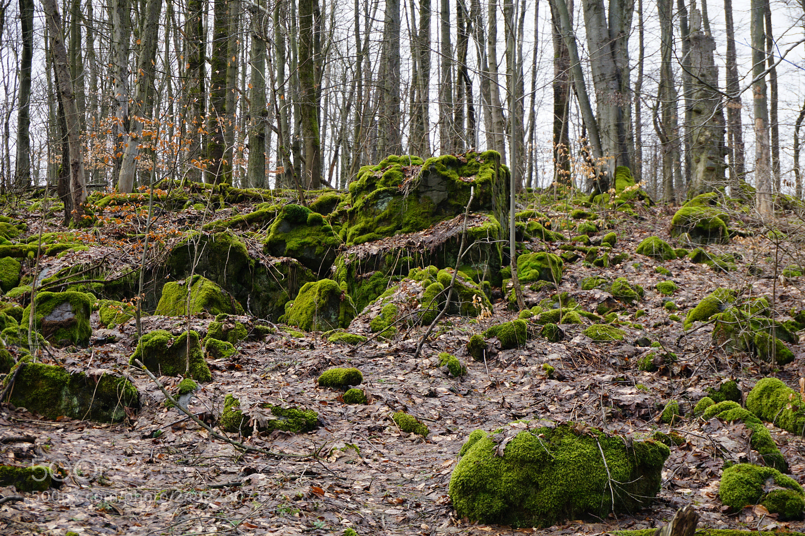 Sony a6000 sample photo. Am teichelberg photography