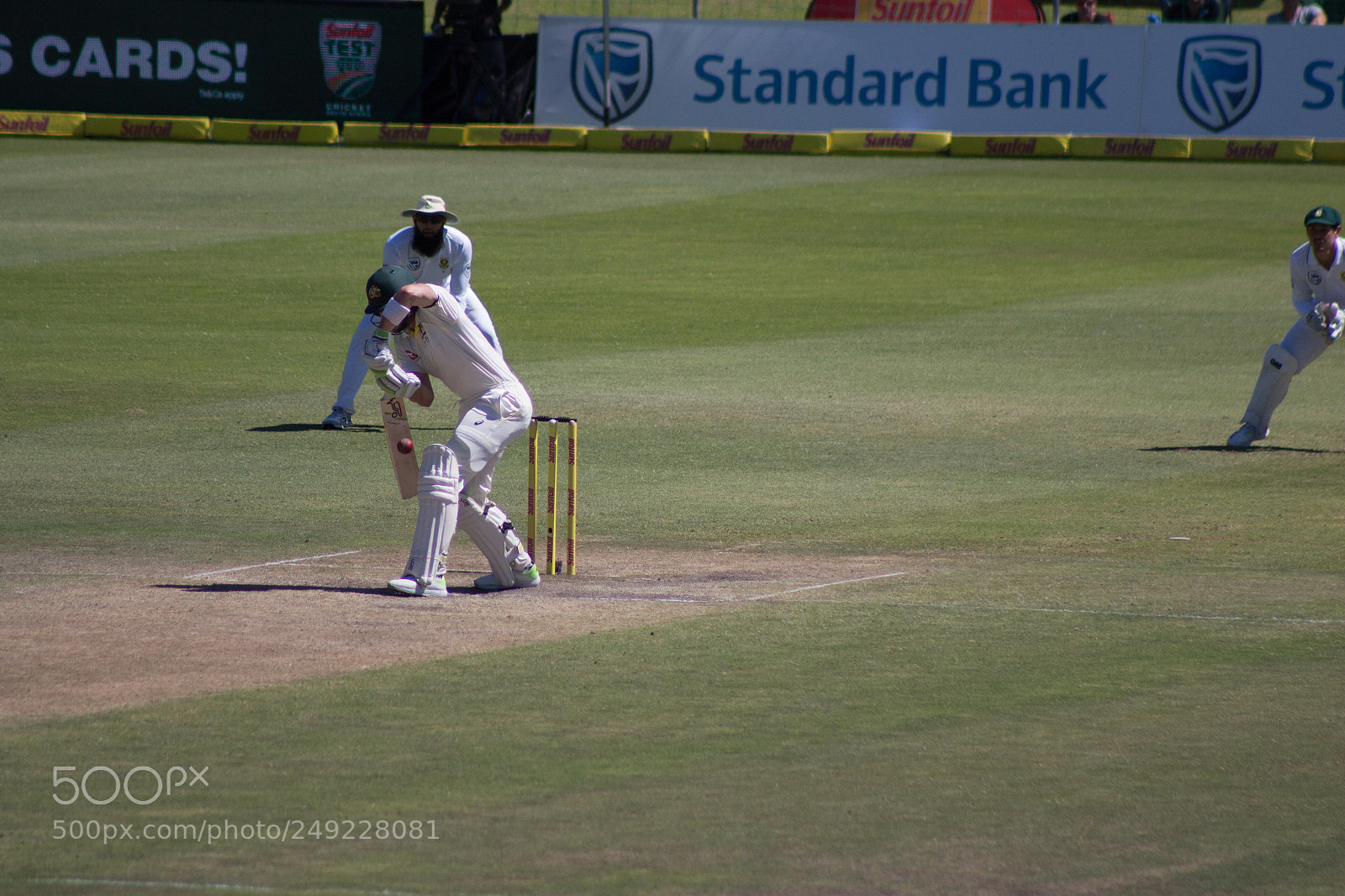 Canon EOS 700D (EOS Rebel T5i / EOS Kiss X7i) sample photo. Sa vs australia 5 photography