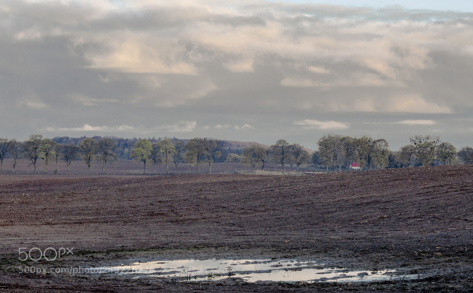 Nikon D7000 sample photo. Fields of gietrzwa d photography
