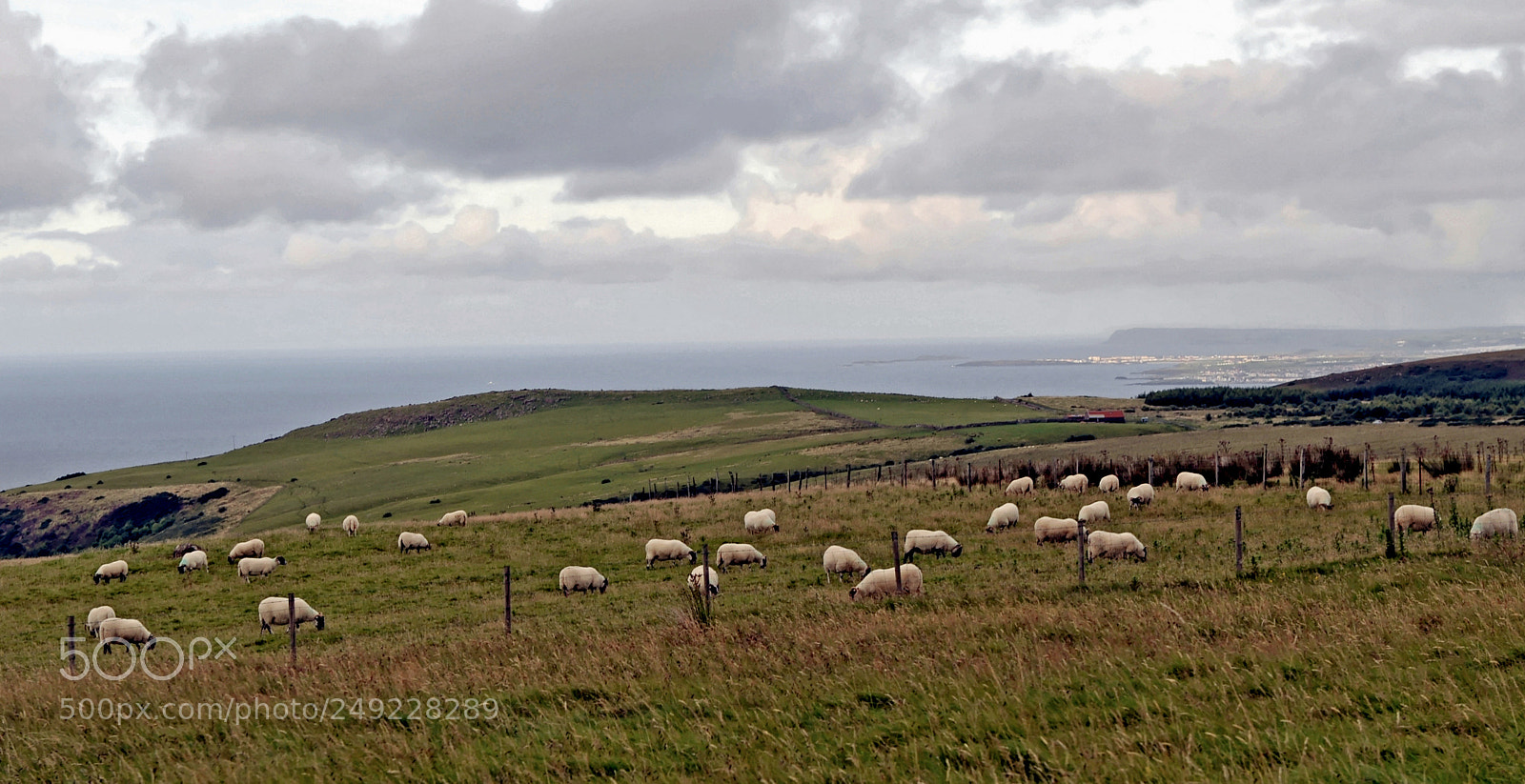 Nikon D700 sample photo. Gortmore view point northern photography