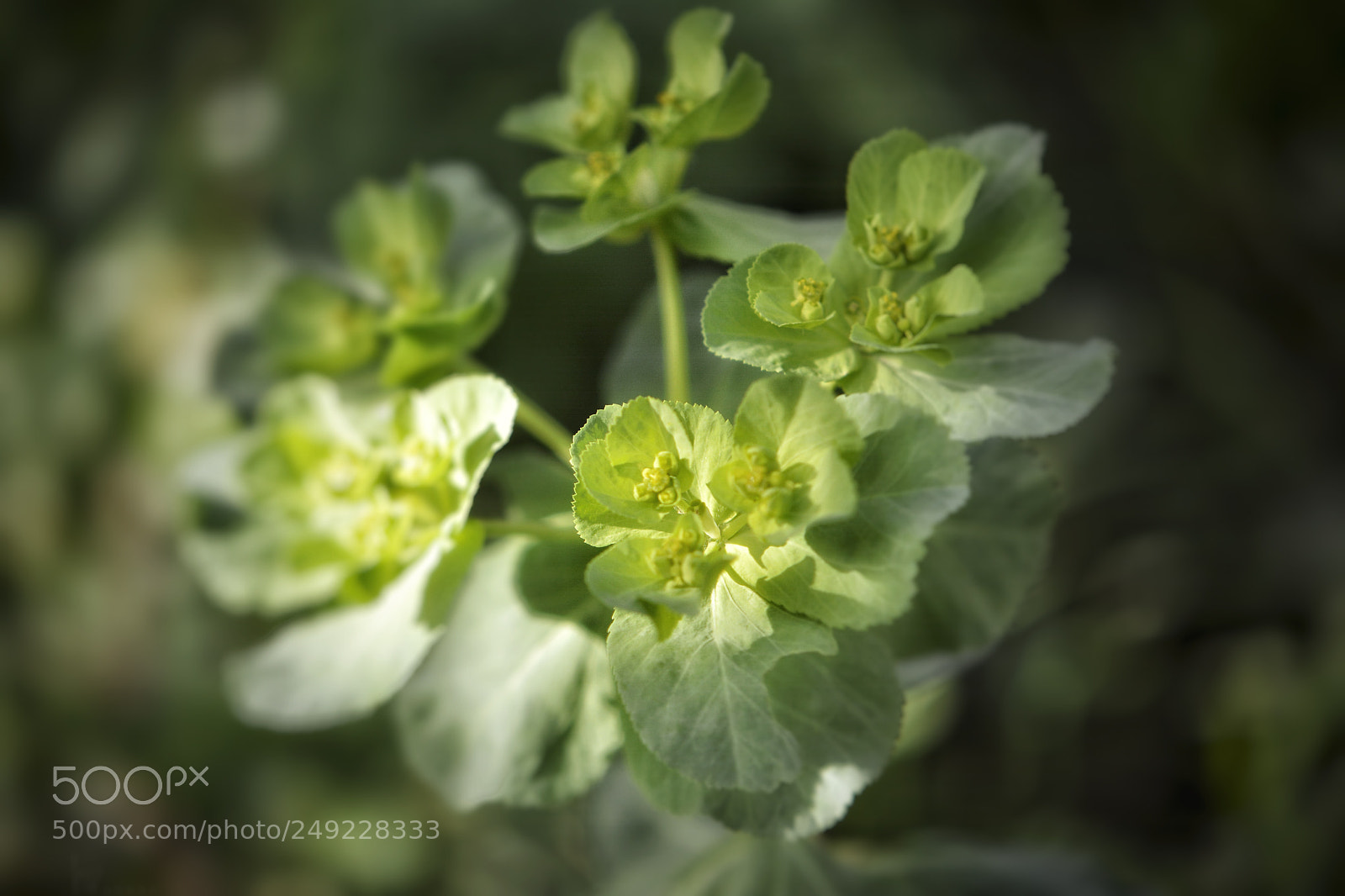 Nikon D7100 sample photo. Sun light photography