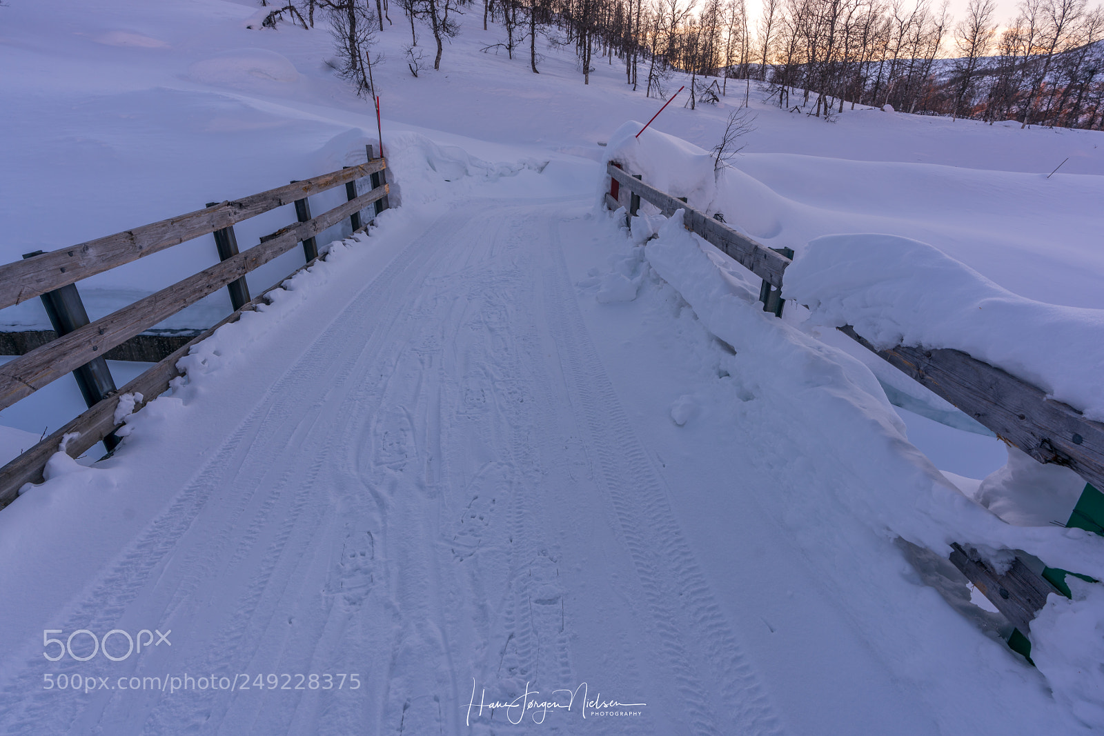 Sony a7R II sample photo. Bridge photography