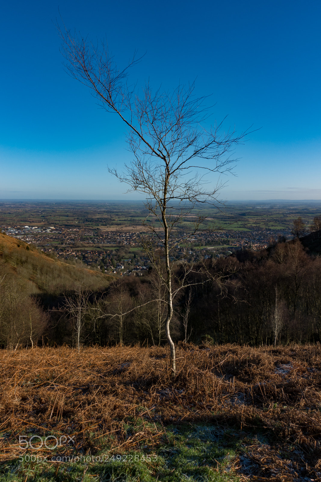 Sony DSC-RX100M5 sample photo. Malvern photography