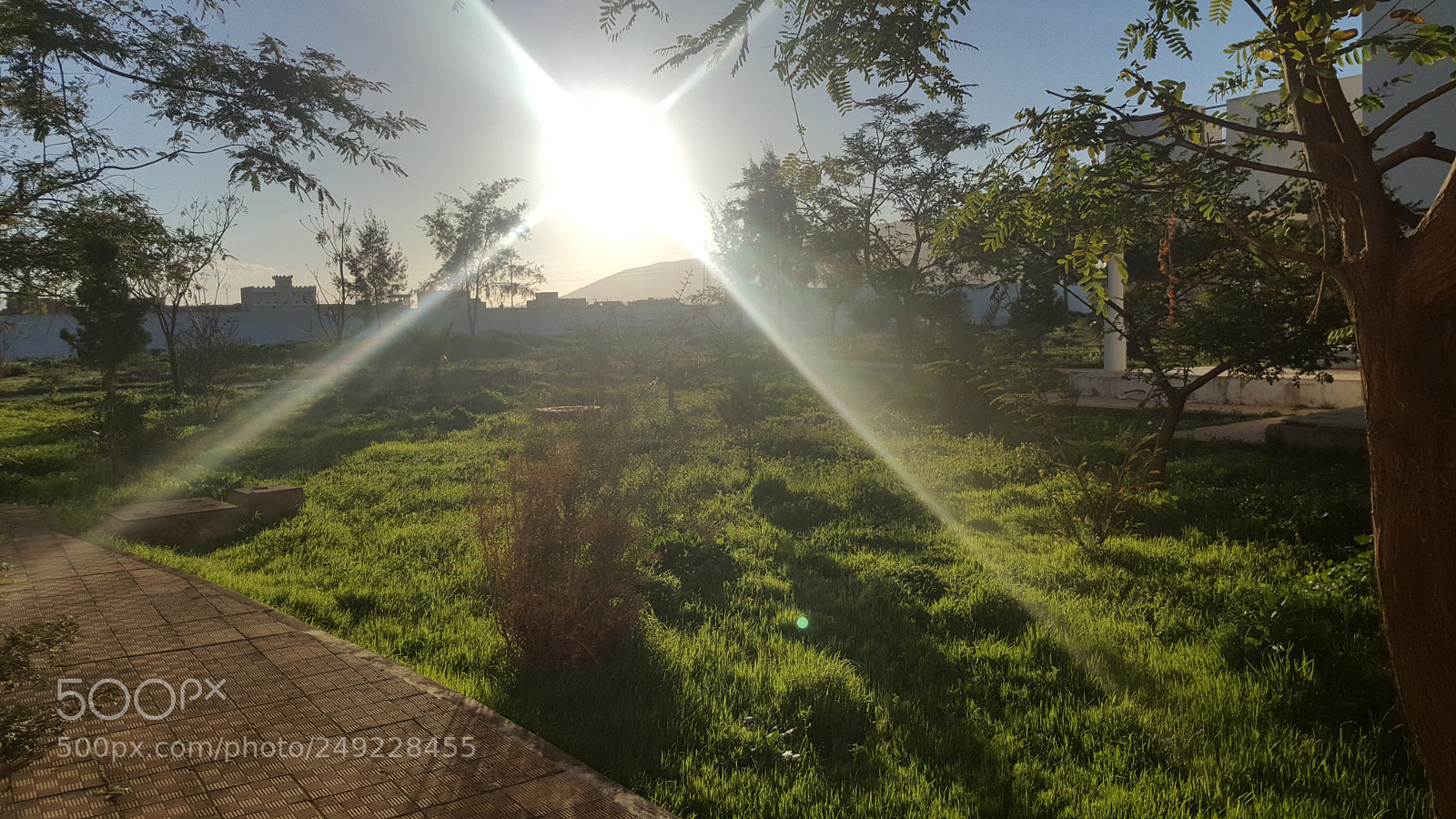 Samsung GALAXY S6 edge sample photo. Untitled photography