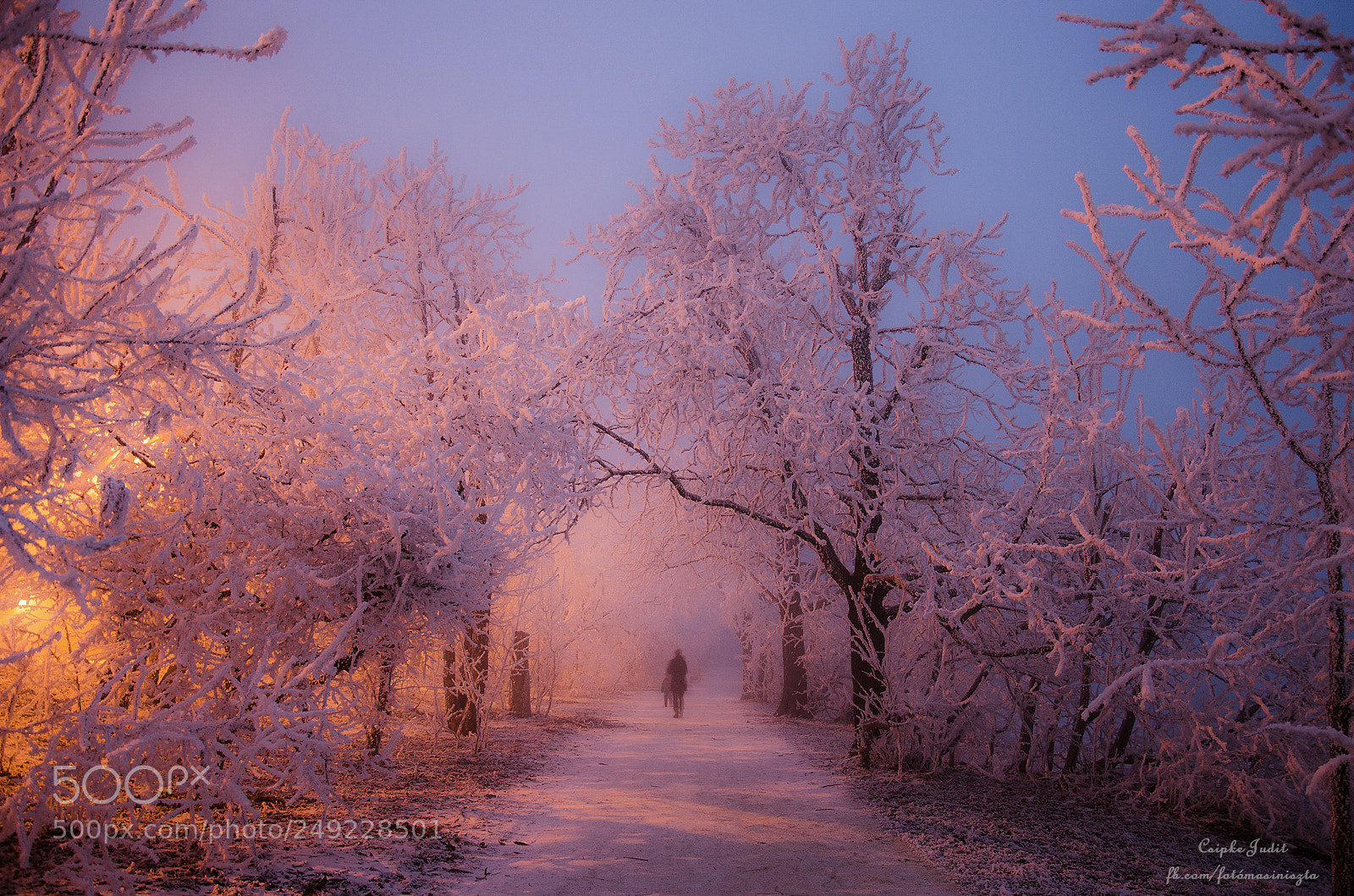 Nikon D5100 sample photo. Winter wonderland photography