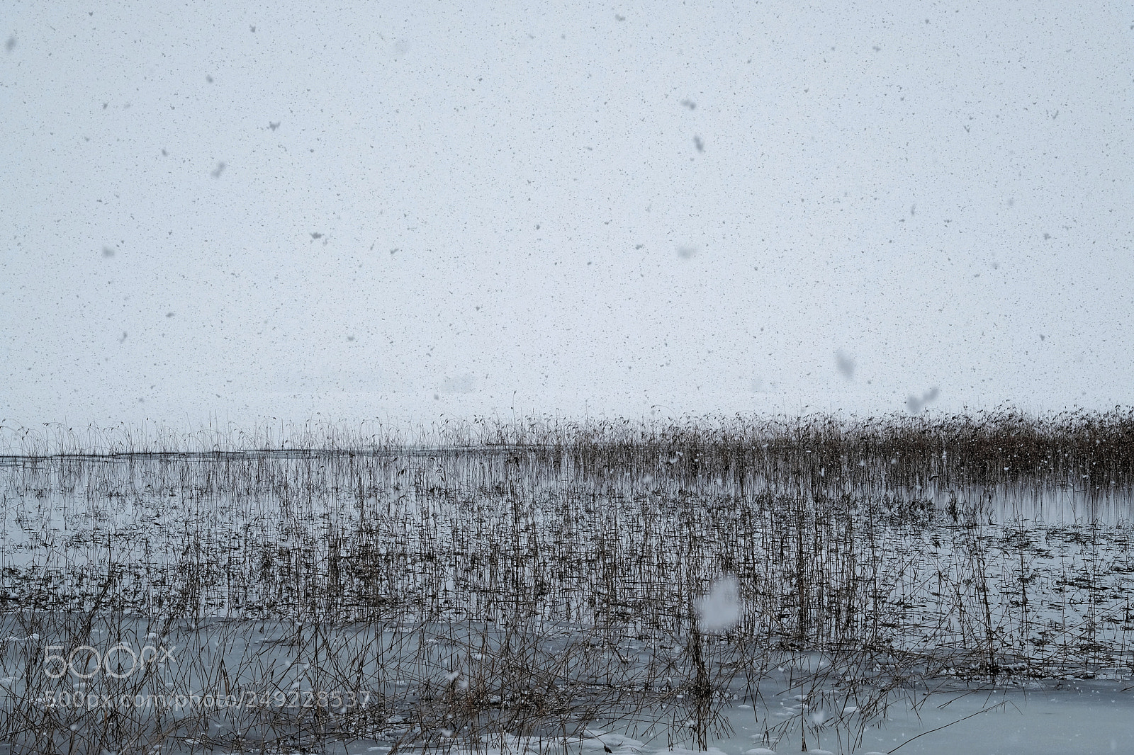 Fujifilm X-T2 sample photo. Snowfall photography