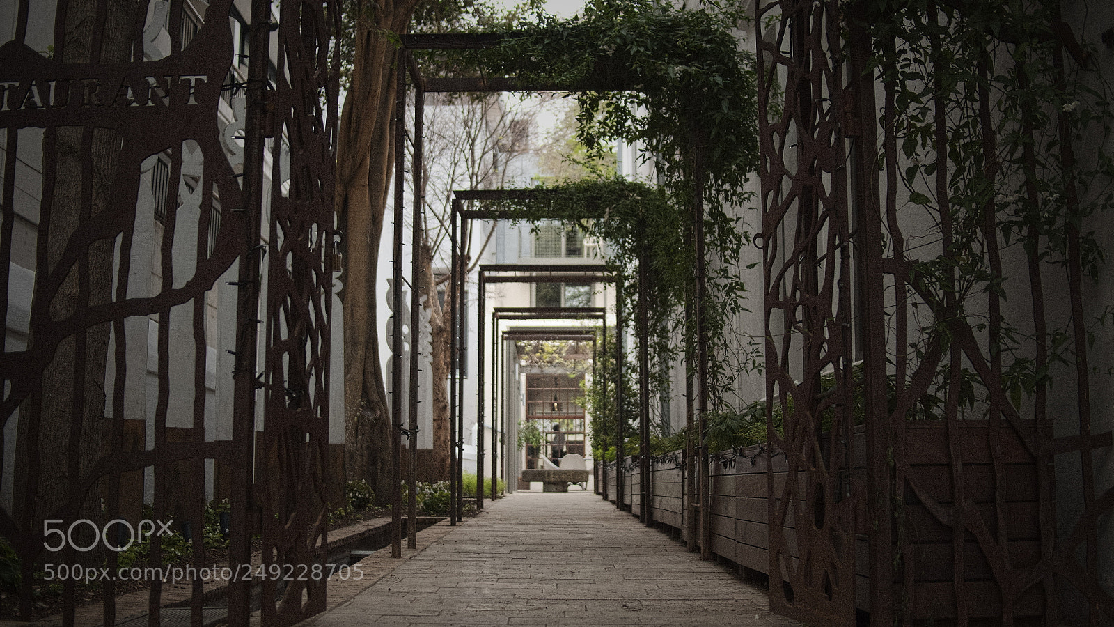 Panasonic Lumix DMC-GH4 sample photo. Alley - stellenbosch, south photography
