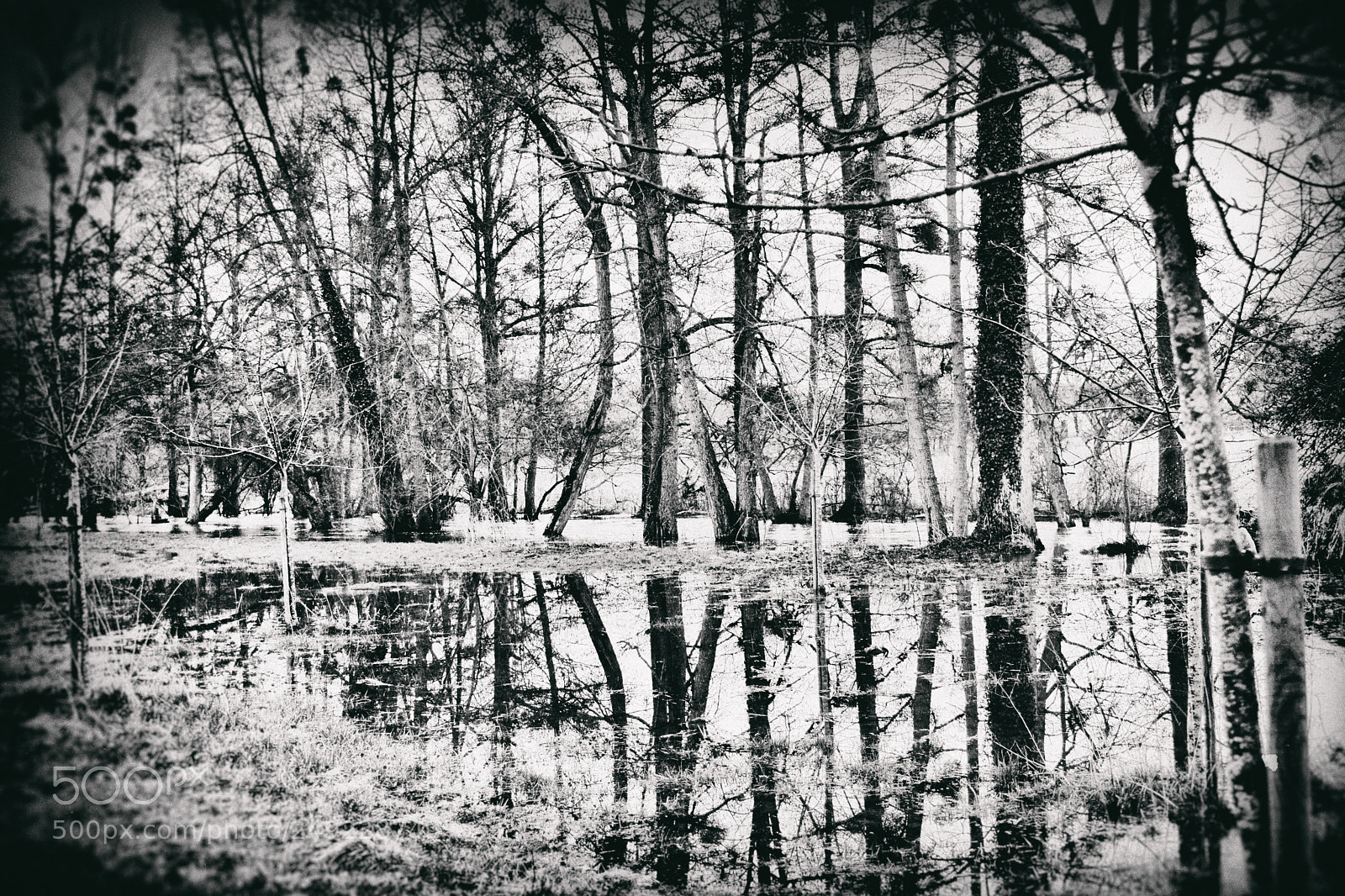 Nikon D7100 sample photo. L'eau...acte ii... photography