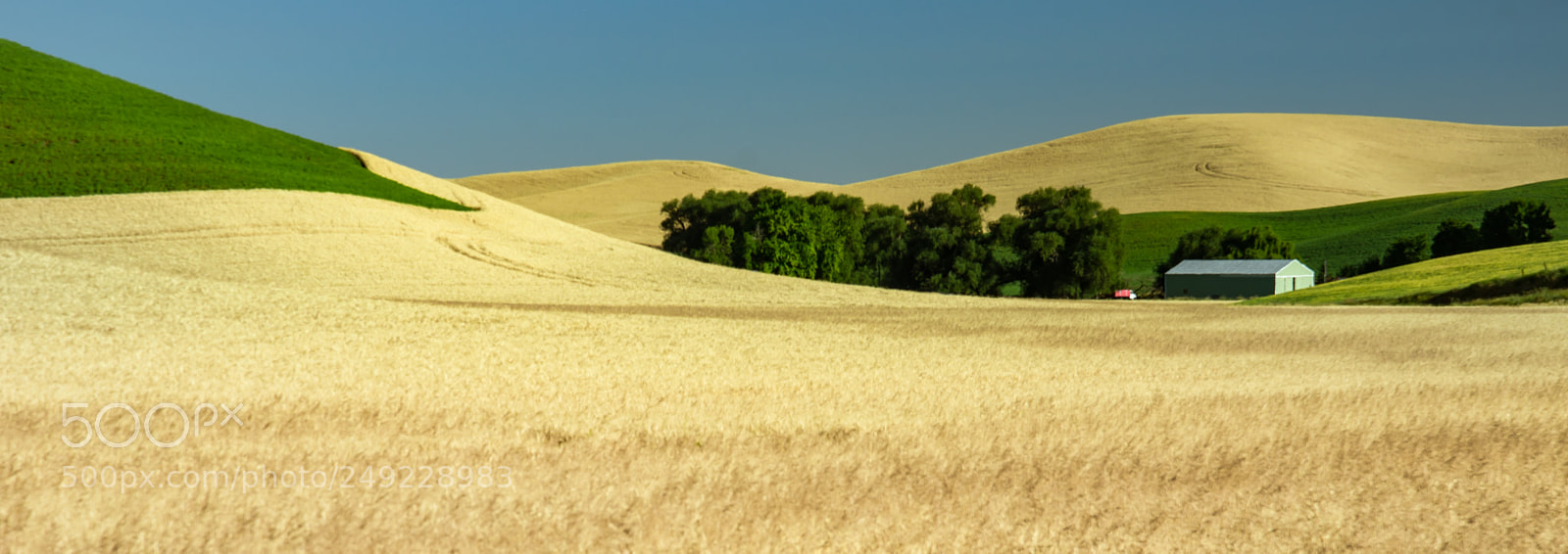 Nikon D7000 sample photo. Palouse farm photography