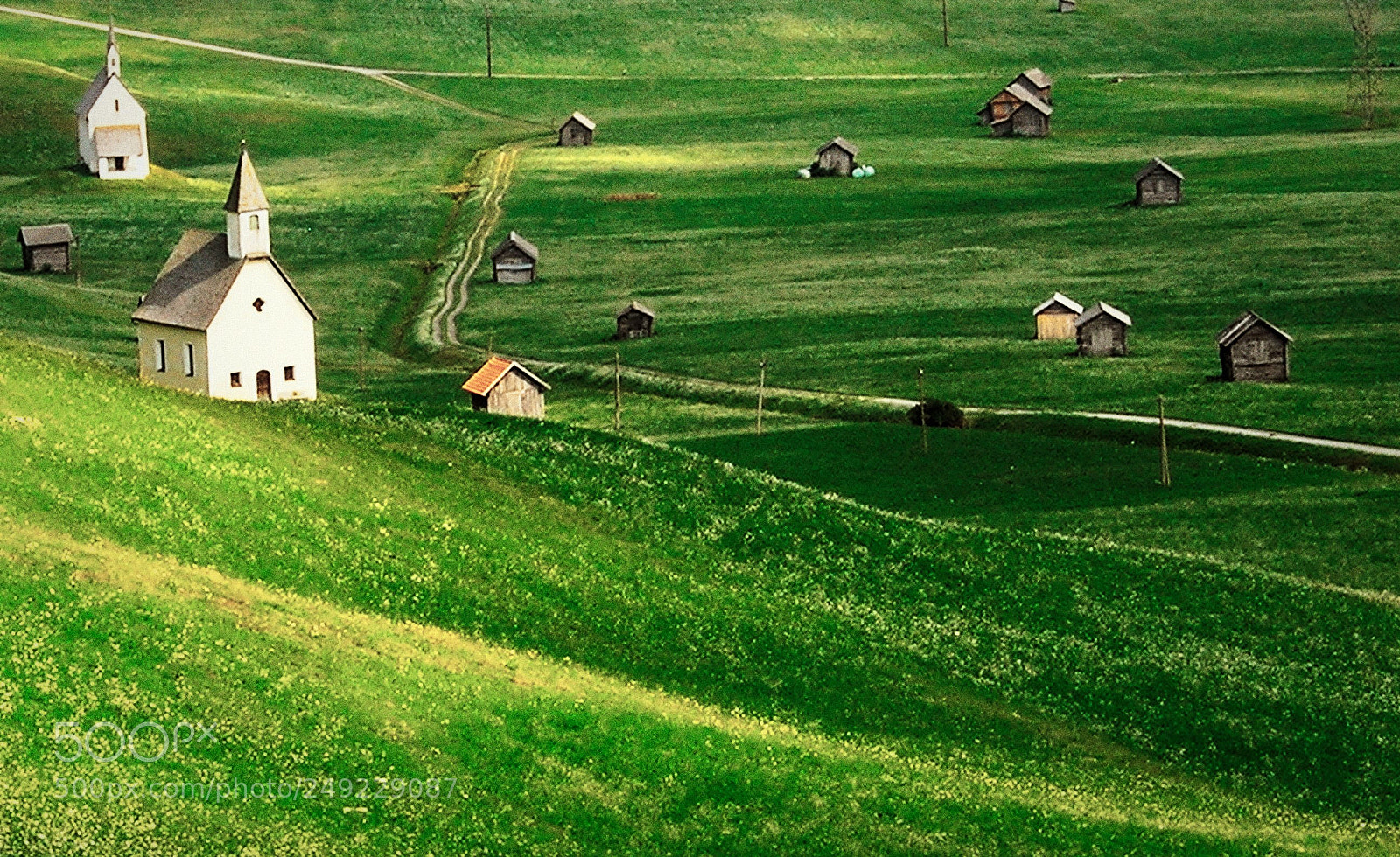 Nikon E5900 sample photo. Green alps photography