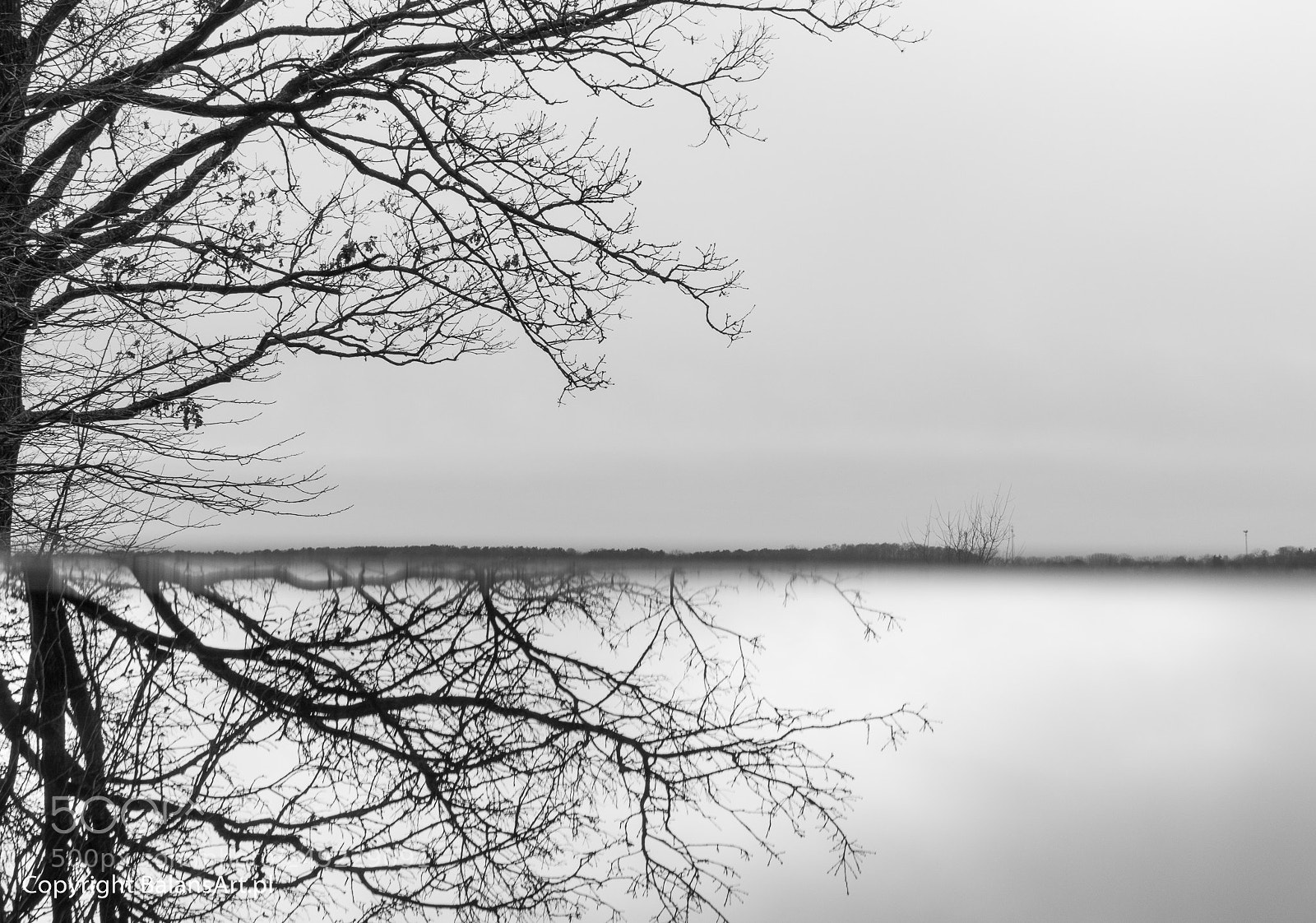 Nikon D7100 sample photo. Mystery tree photography