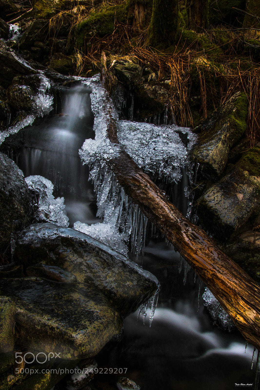 Nikon D800 sample photo. Vertical frozen stream photography