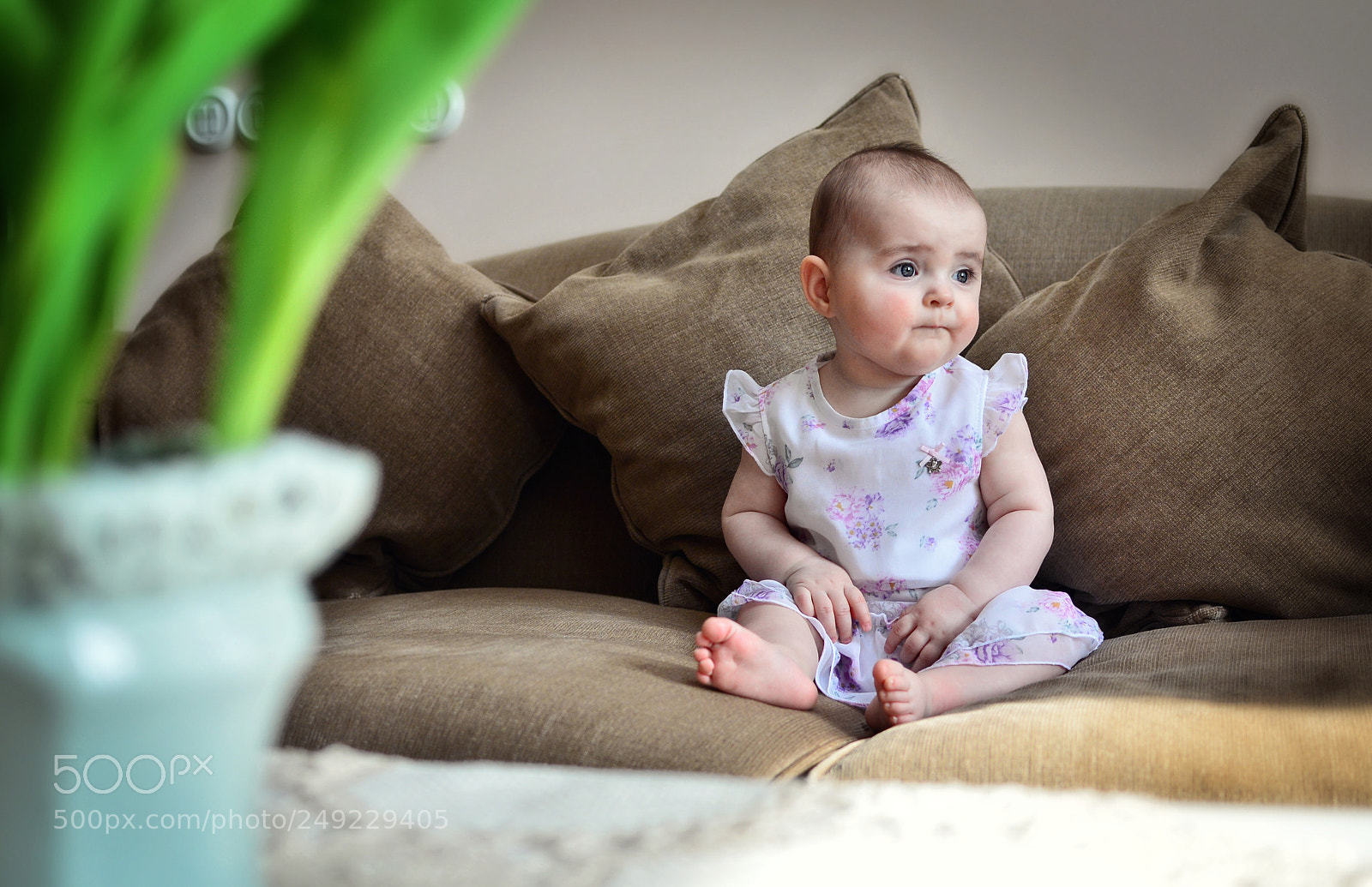 Nikon D610 sample photo. Untitled photography