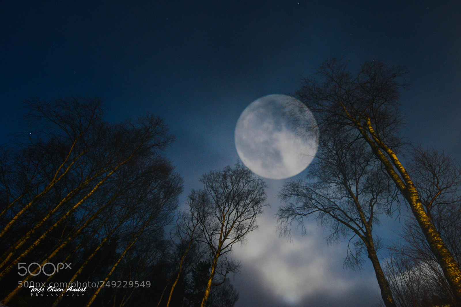 Nikon D800 sample photo. Fullmoon photography