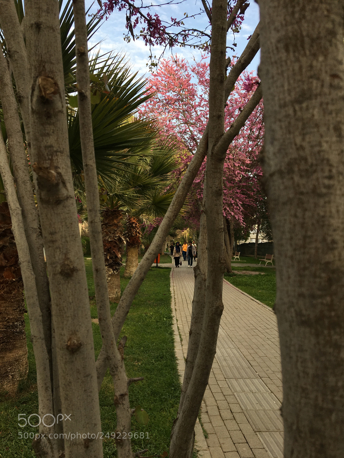 Apple iPhone 6s sample photo. Kumsal park, nicosia, central photography