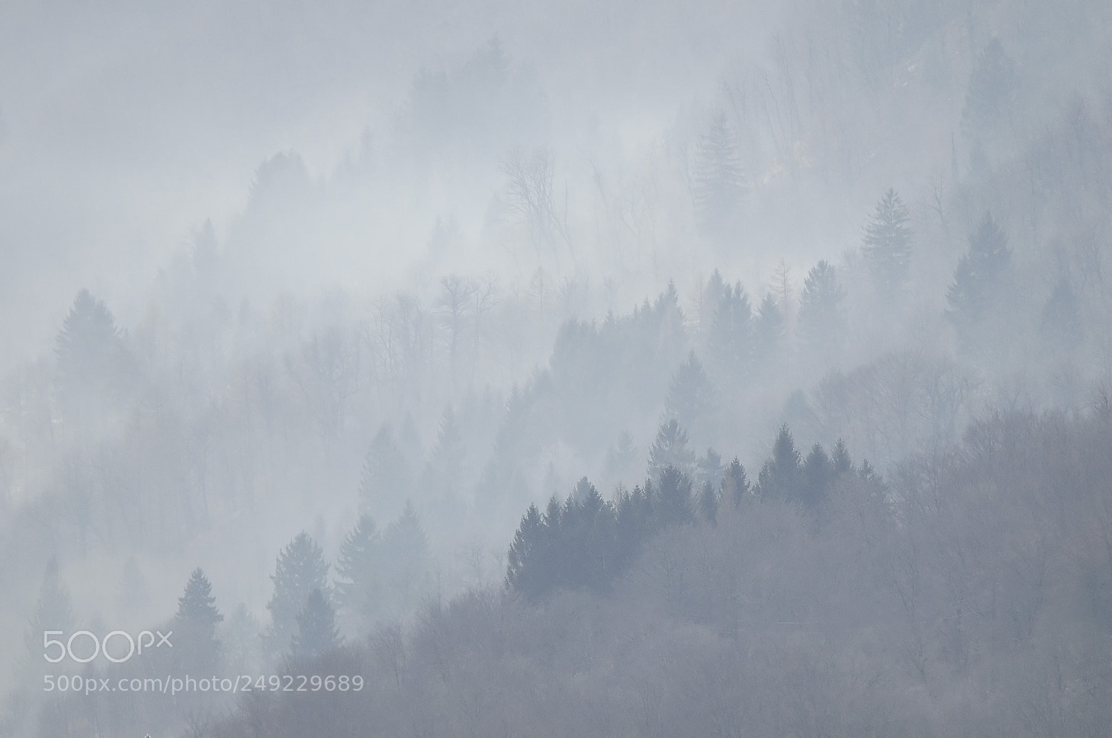 Nikon D300 sample photo. Brume mattutine photography
