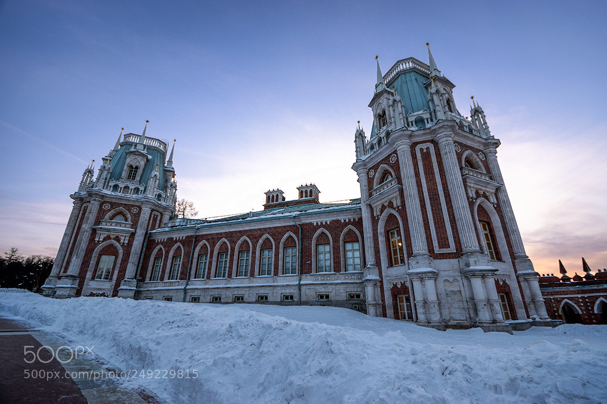 Nikon D5300 sample photo. Palace in the tsaritsino photography