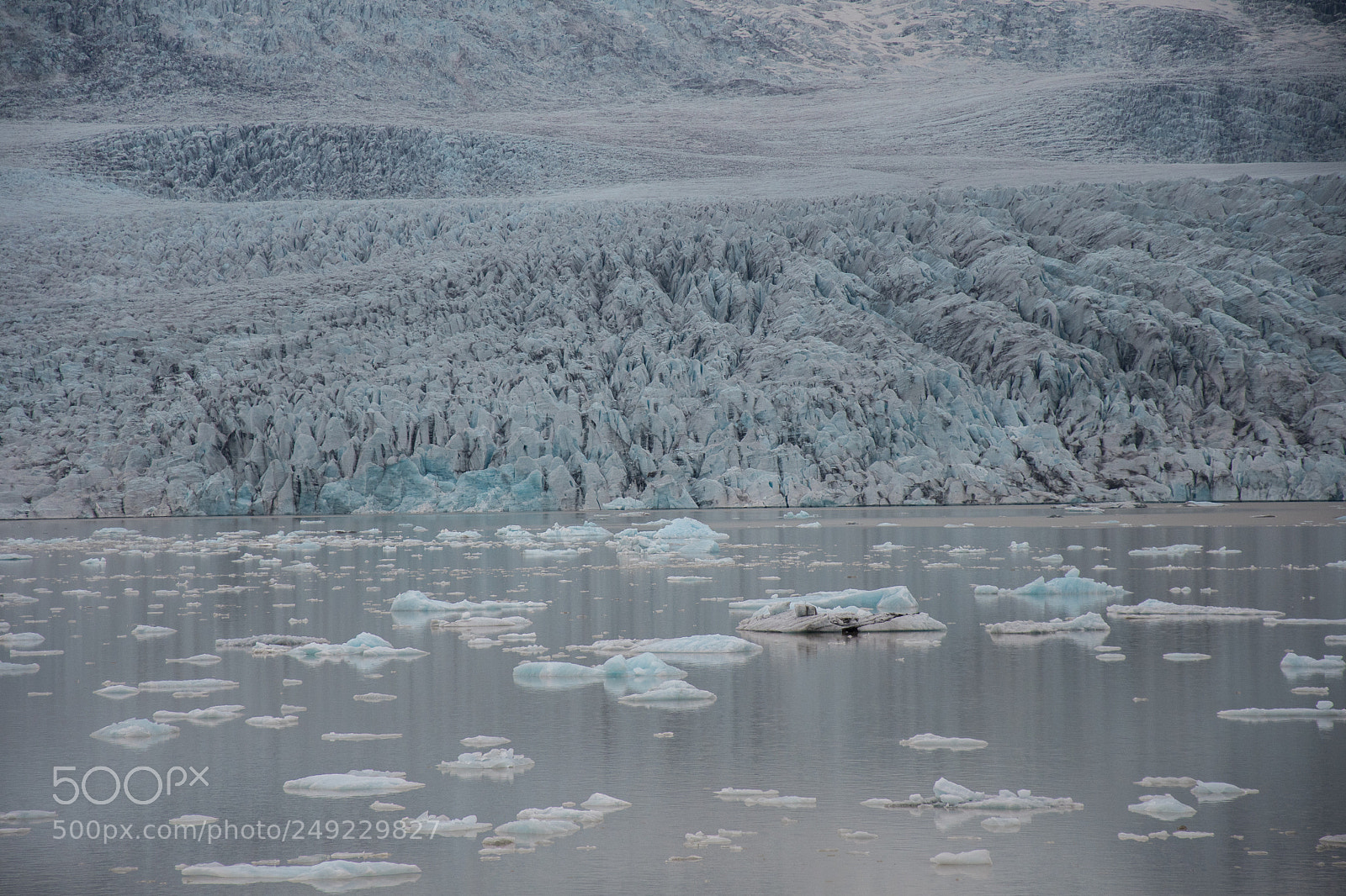 Nikon D500 sample photo. Ice and snow photography