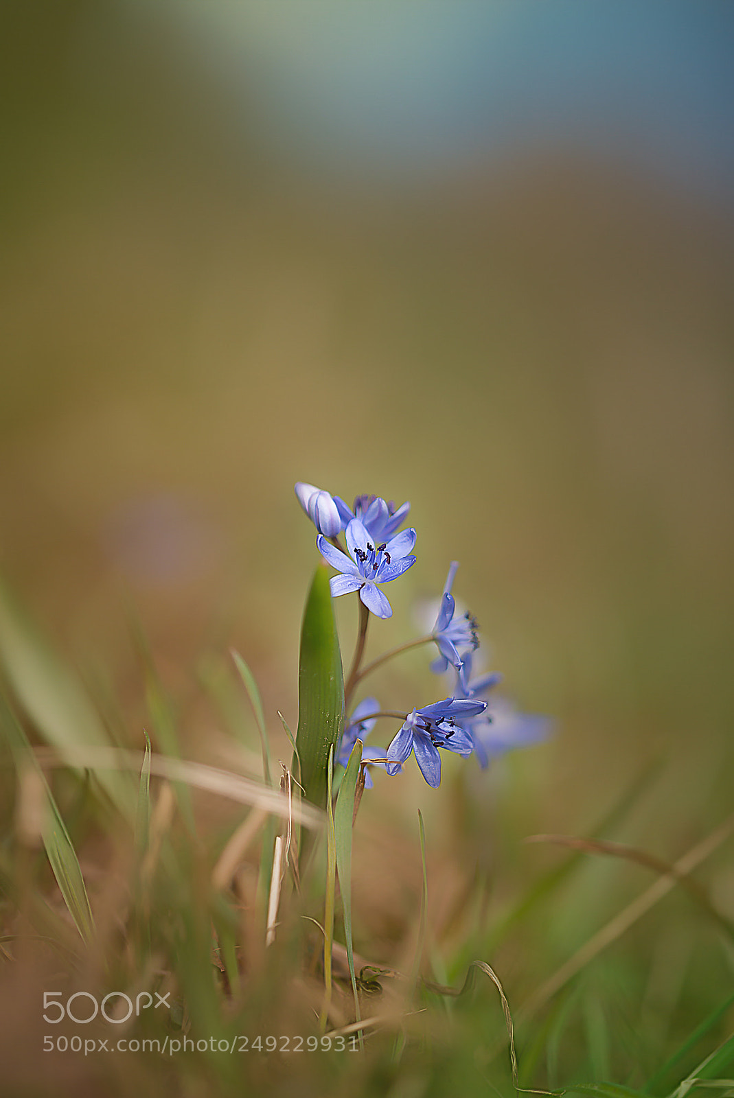 Nikon D800 sample photo. ++himmelsterne++ photography