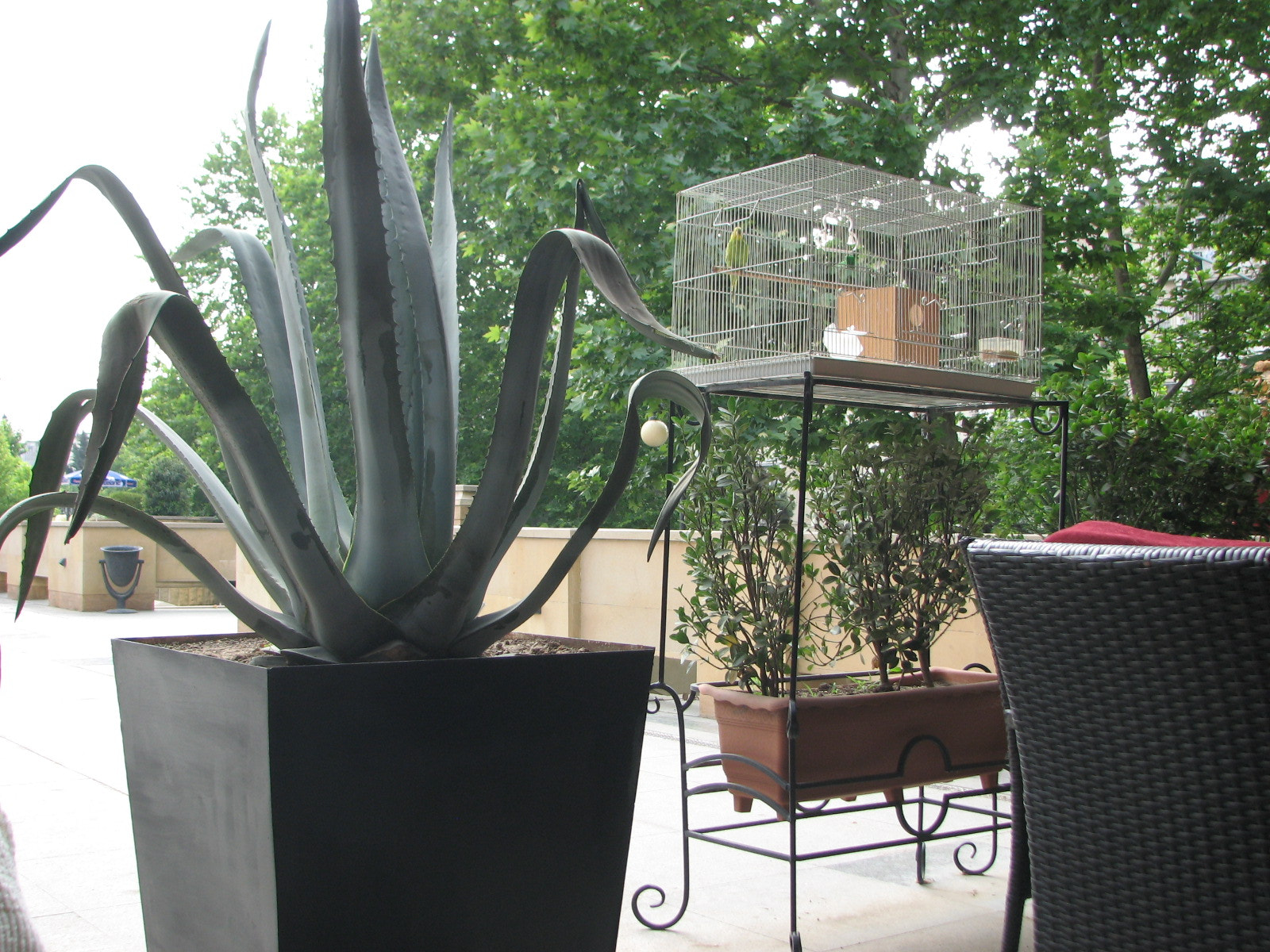Canon POWERSHOT S3 IS sample photo. Img photography