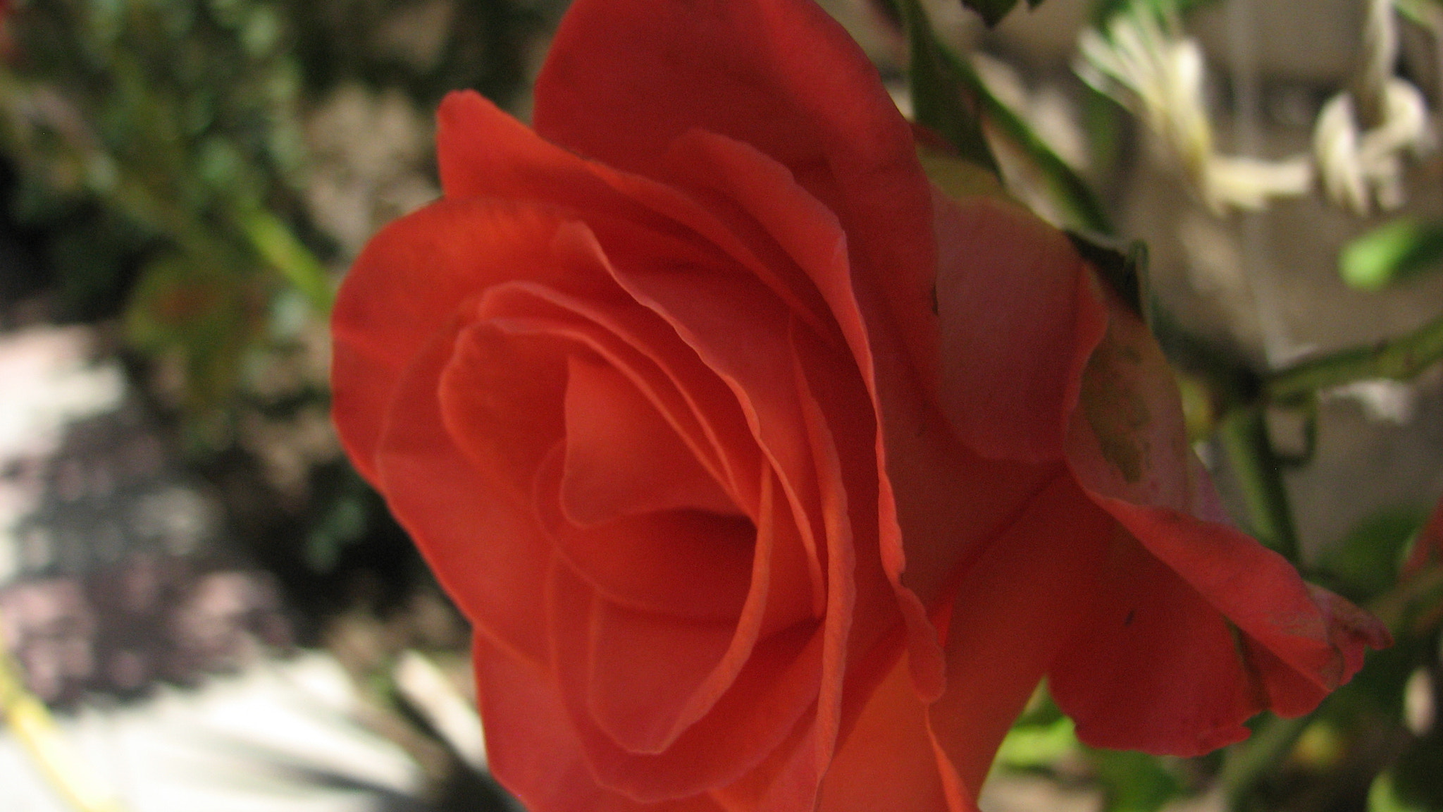 Canon POWERSHOT S3 IS sample photo. Img photography
