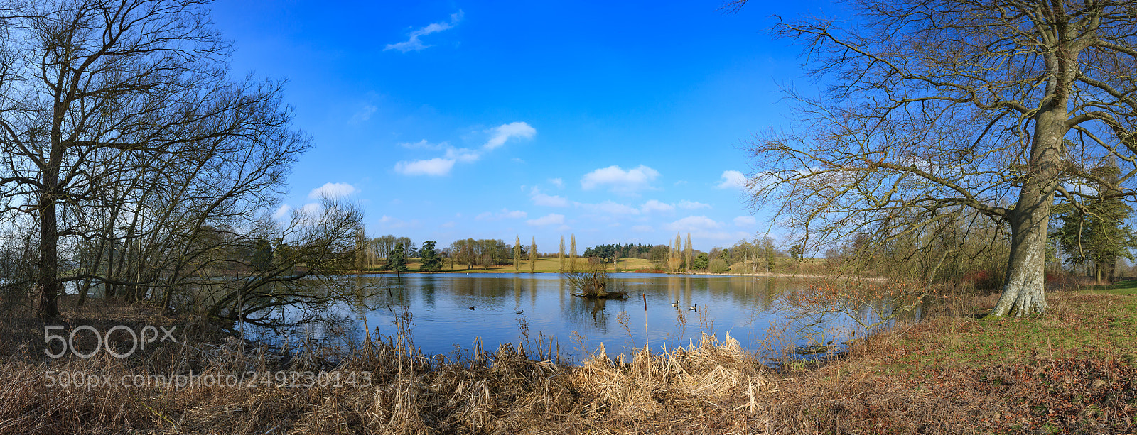 Canon EOS-1Ds Mark III sample photo. Blenheim palace woodstock panoramic2 photography