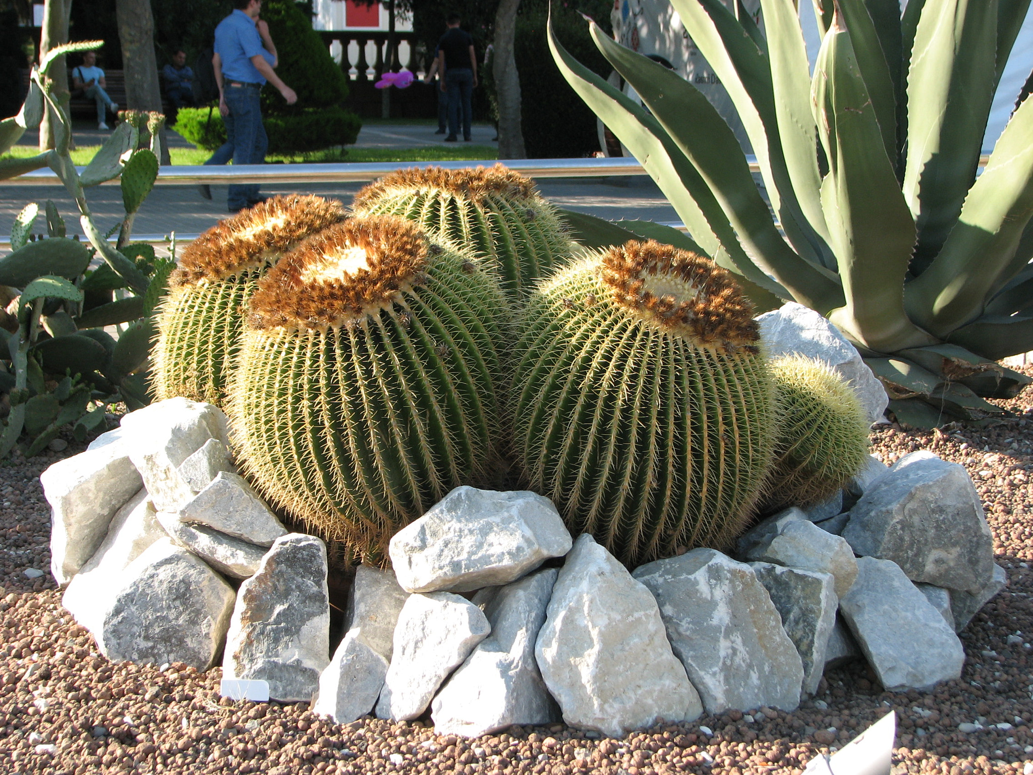 Canon POWERSHOT S3 IS sample photo. Img photography