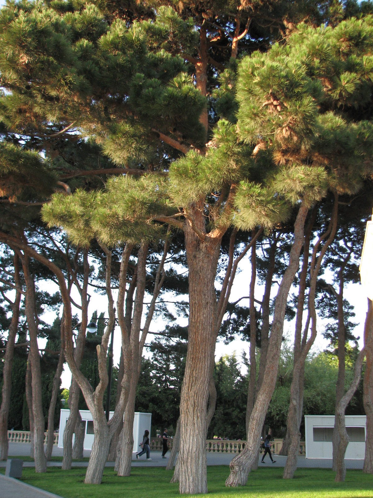 Canon POWERSHOT S3 IS sample photo. Img photography