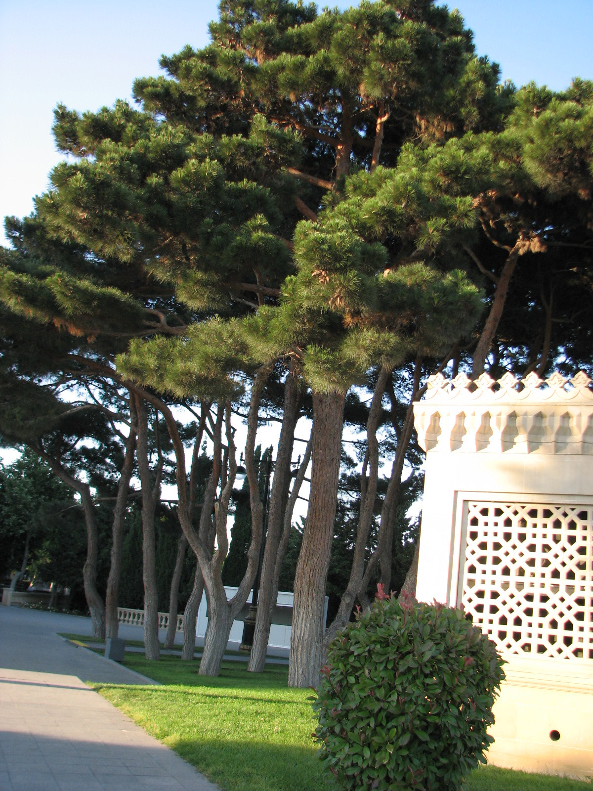 Canon POWERSHOT S3 IS sample photo. Img photography