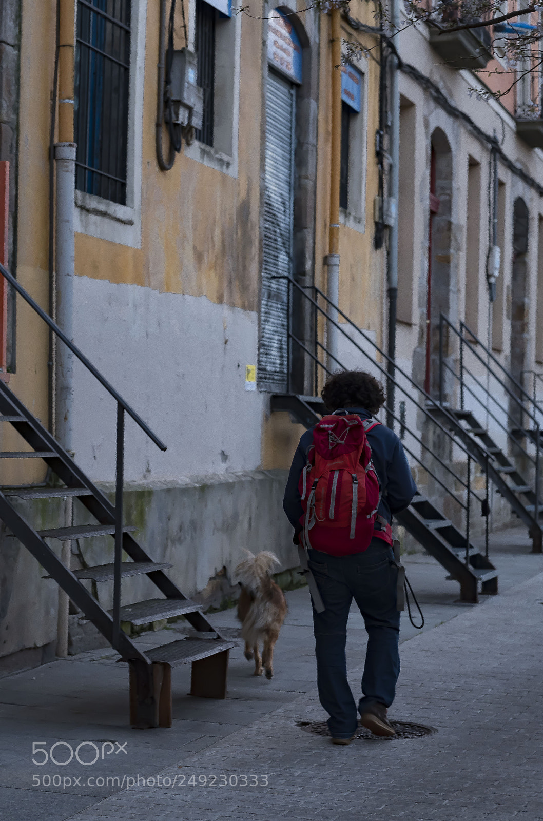 Fujifilm X-Pro2 sample photo. Untitled photography