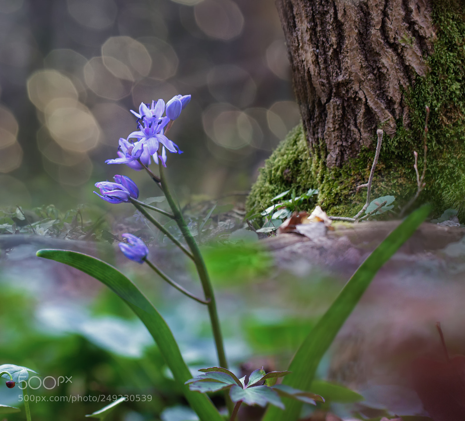 Canon EOS 7D Mark II sample photo. Ka photography