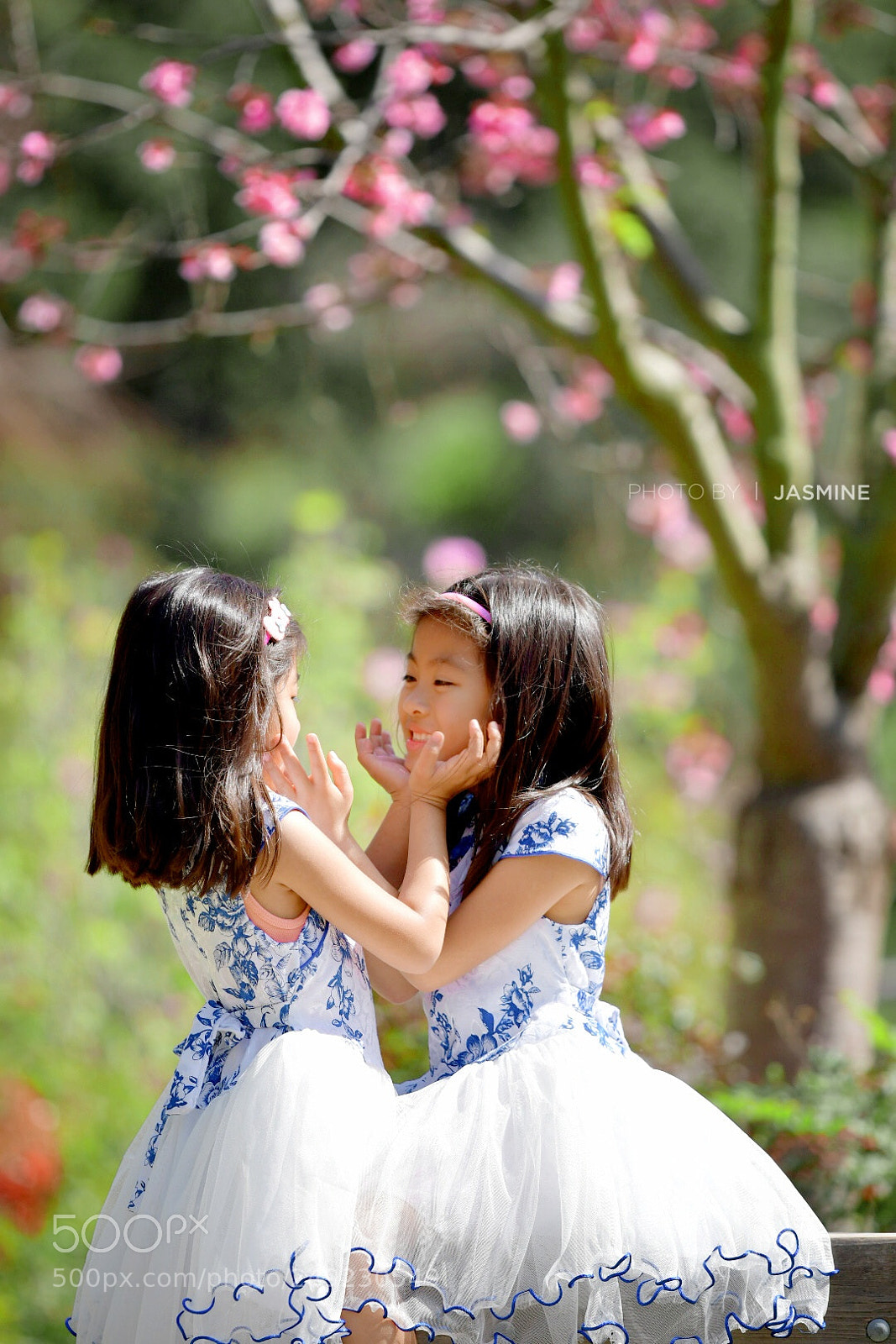 Nikon D500 sample photo. Sisters in the garden photography