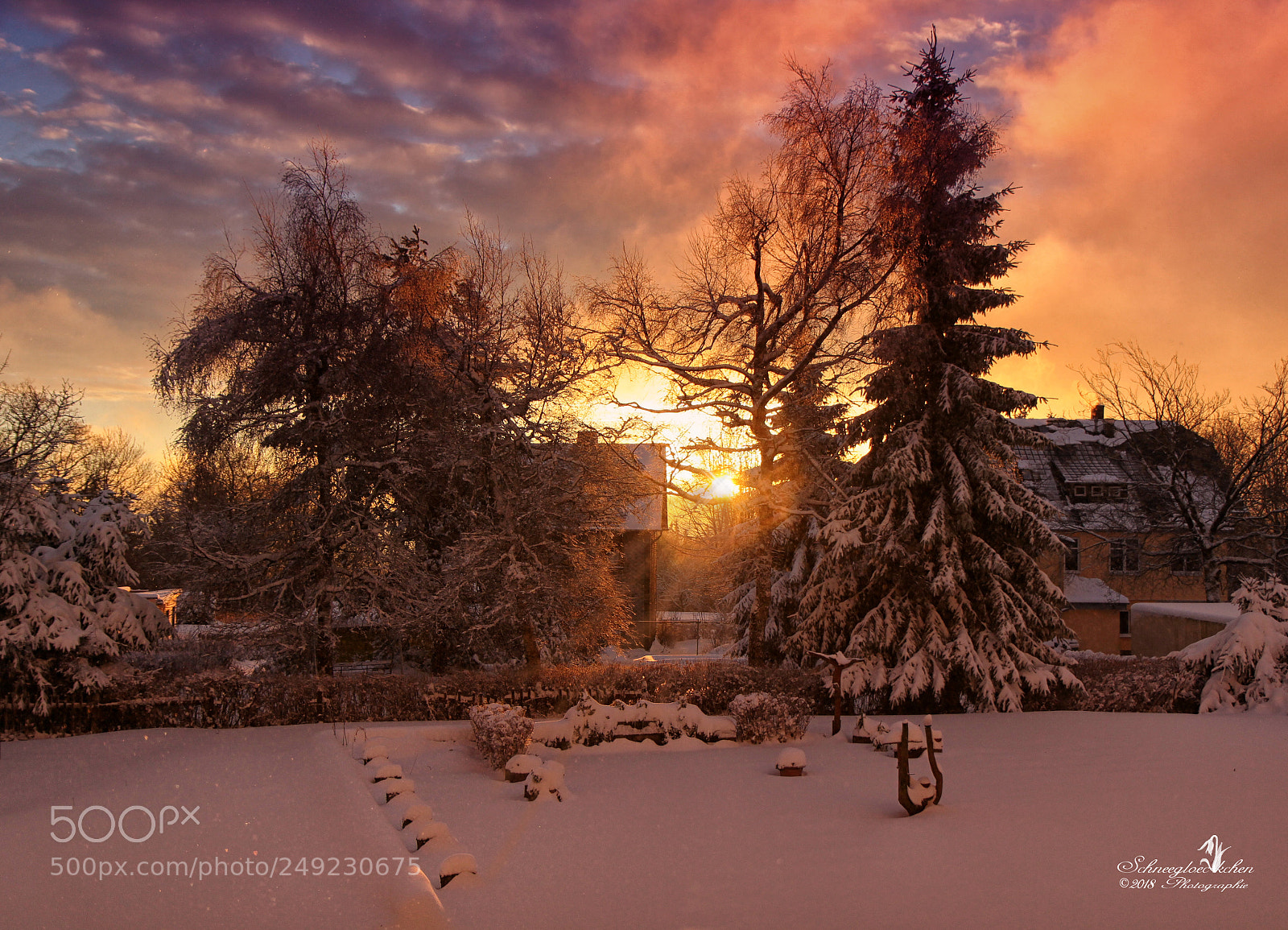 Canon EOS 60D sample photo. Golden morning photography