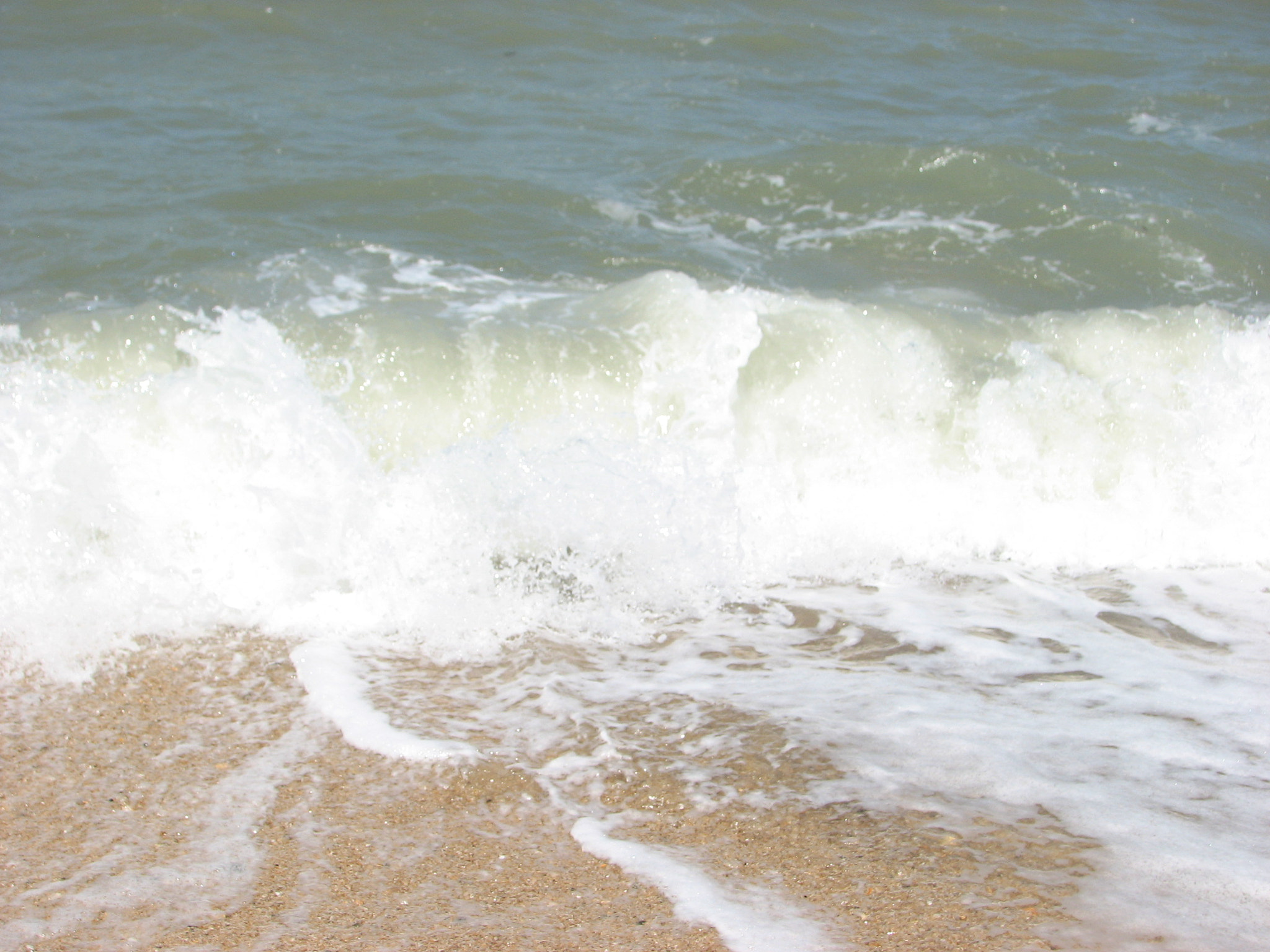 Canon POWERSHOT S3 IS sample photo. Img photography