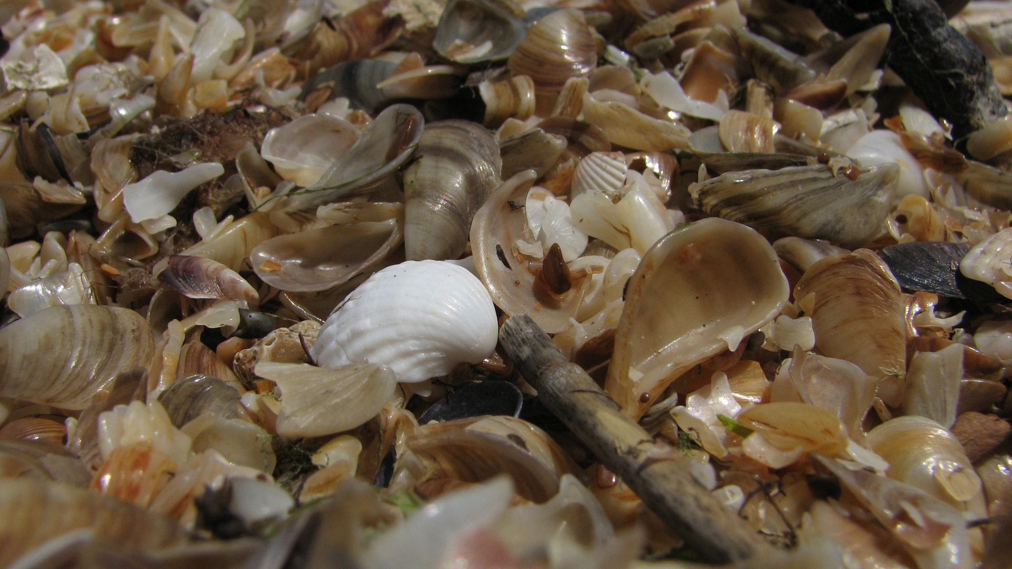 Canon POWERSHOT S3 IS sample photo. Img photography