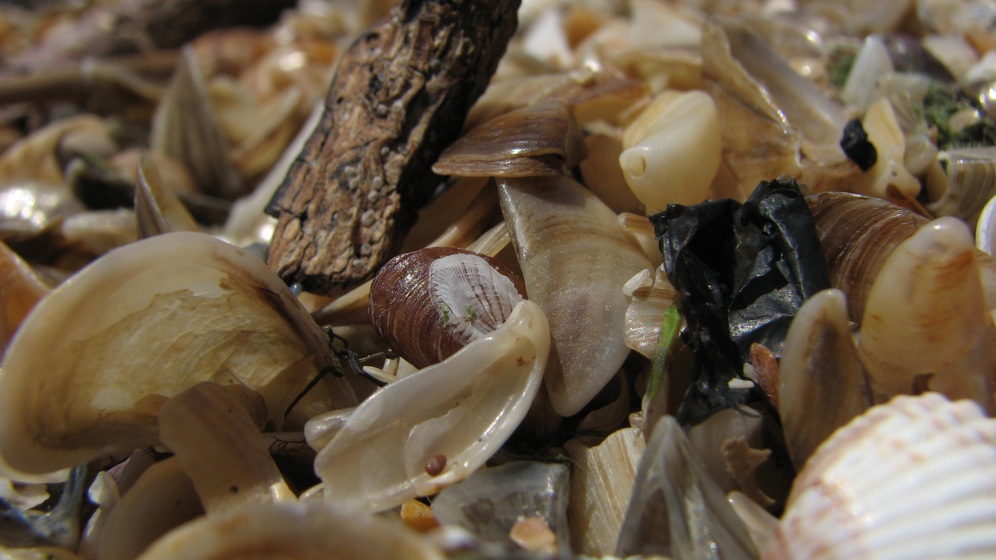 Canon POWERSHOT S3 IS sample photo. Img photography