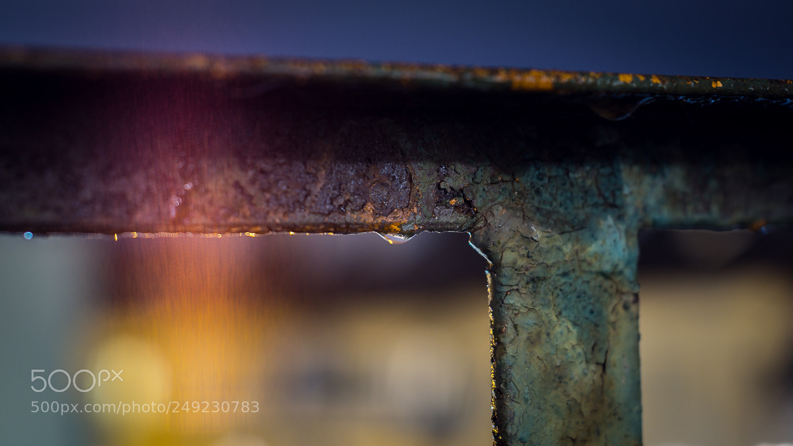 Pentax K-5 sample photo. 1701 photography