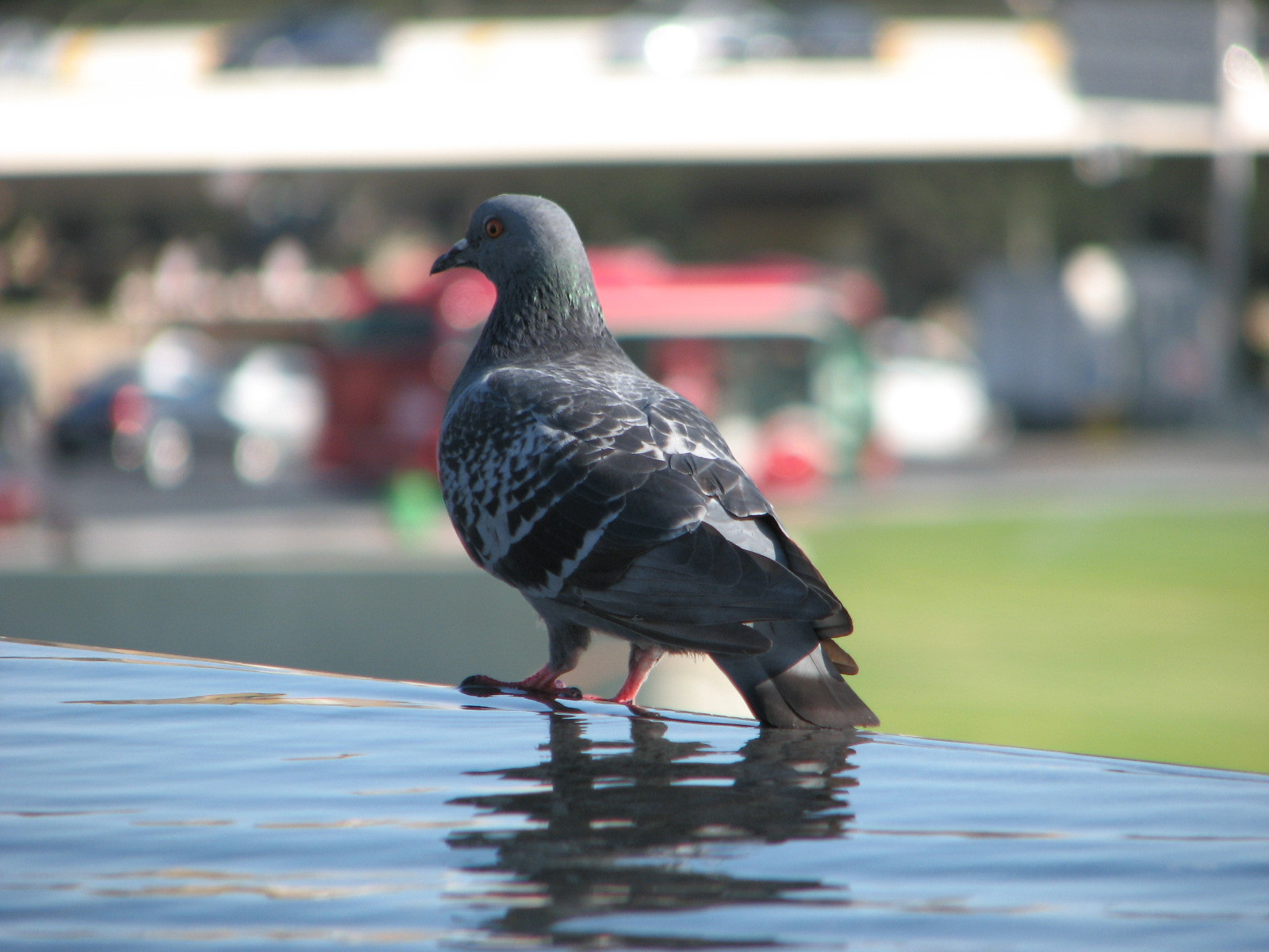 Canon POWERSHOT S3 IS sample photo. Img photography
