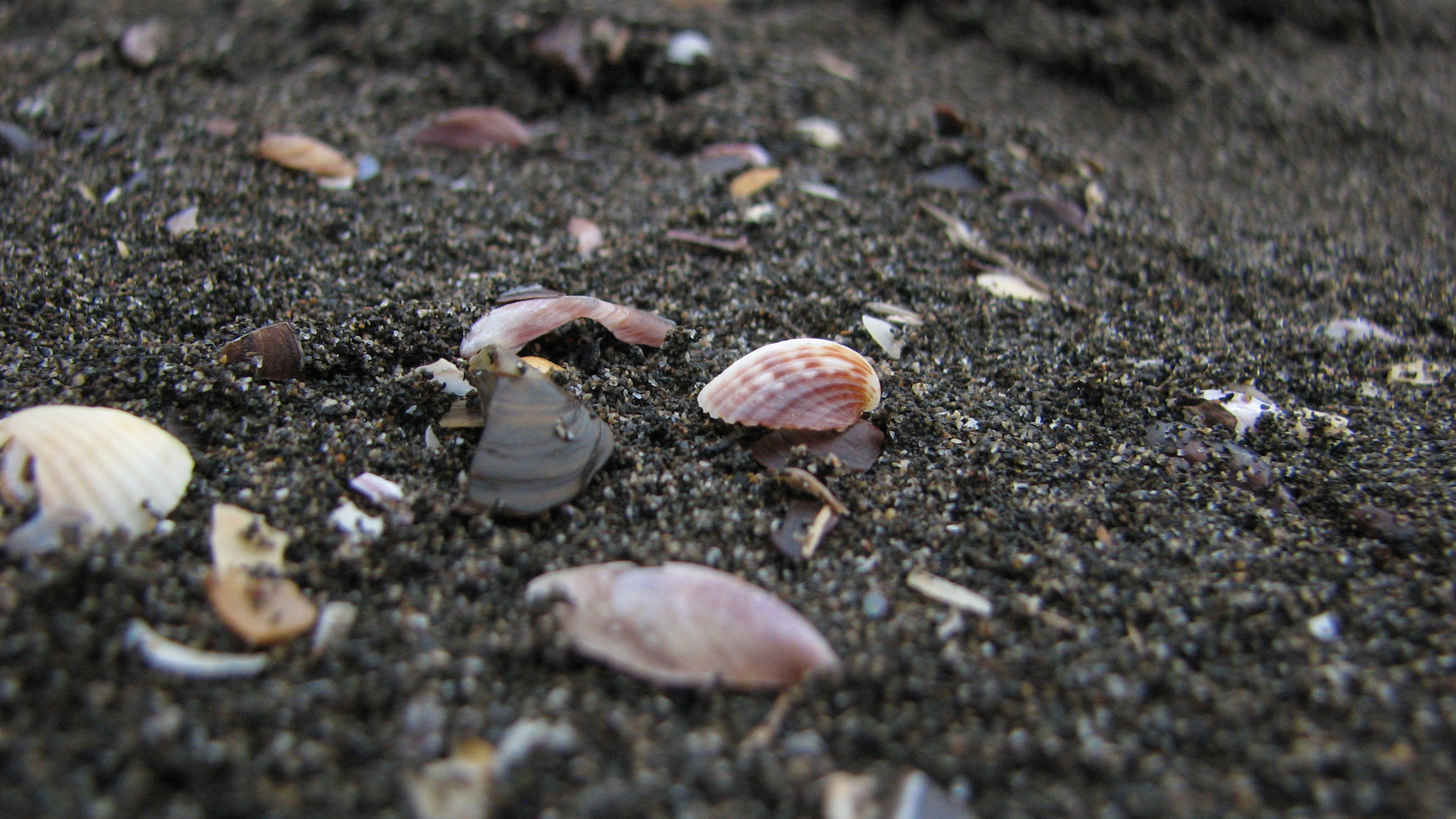 Canon POWERSHOT S3 IS sample photo. Img photography